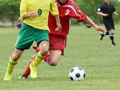 乐鱼体育,资讯,LeYu,乐鱼体育,LeYu,Sports,乐鱼体育注册网址,乐鱼体育app,乐鱼体育官网,乐鱼体育网站,乐鱼体育下载