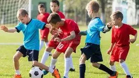 乐鱼体育 资讯 175219 rht