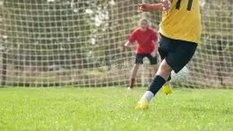 乐鱼体育 资讯 084131 qpl