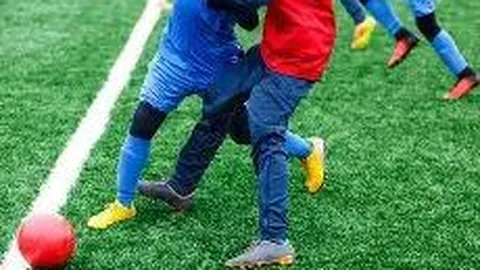 乐鱼体育 资讯 084218 wlr