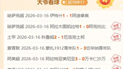 荷兰队今赛季首发阵容首现无荷甲在役球员现象。